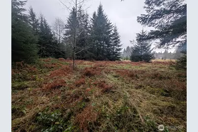 9991 Quillayute Road, Forks, WA 98331 - Photo 24