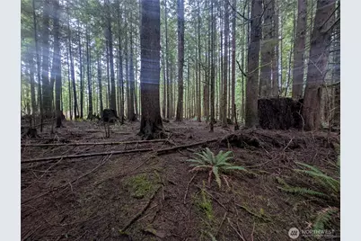 9991 Quillayute Road, Forks, WA 98331 - Photo 10