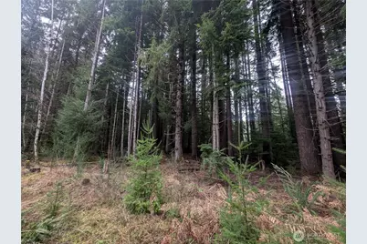 9991 Quillayute Road, Forks, WA 98331 - Photo 36