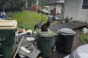 646 Jorgensen Rd, Onalaska, WA 98570 - Photo 8