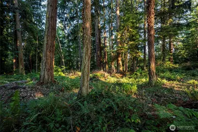 0 Ships Havens Drive, Freeland, WA 98249 - Photo 4