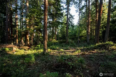 0 Ships Havens Drive, Freeland, WA 98249 - Photo 6