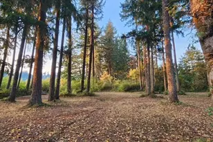 8744 Colony Ln SE, Tenino, WA 98589 - Photo 2