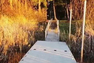 8744 Colony Ln SE, Tenino, WA 98589 - Photo 4