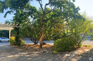 13141 NE 139th St, Kirkland, WA 98034 - Photo 32