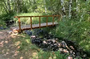 507 Morse St, Ryderwood, WA 98581 - Photo 24