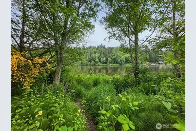 0 Lot 3&4 Orville Road E, Eatonville, WA 98328 - Photo 4
