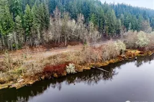 0 Lot 3&4 Orville Road E, Eatonville, WA 98328 - Photo 1