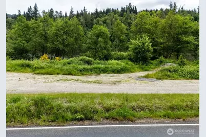 0 Lot 3&4 Orville Road E, Eatonville, WA 98328 - Photo 14