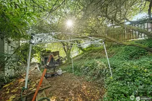 341 NE 51st St, Seattle, WA 98105 - Photo 28