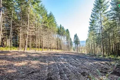 0 Bunker Hill Road #A, Longview, WA 98632 - Photo 10