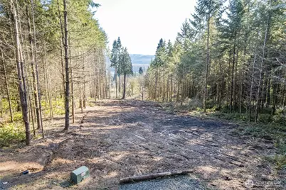 0 Bunker Hill Road #A, Longview, WA 98632 - Photo 2