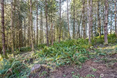 0 Bunker Hill Road #A, Longview, WA 98632 - Photo 12