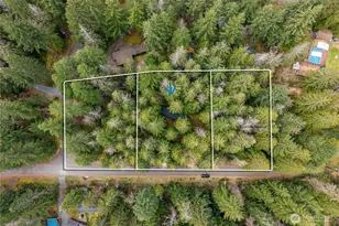 56514 383rd Ave Ct E, Ashford, WA 98304 - Photo 2