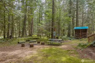 56514 383rd Ave Ct E, Ashford, WA 98304 - Photo 18