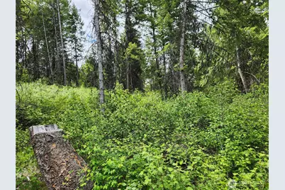 318 Rockabye Lane, Curlew, WA 99118 - Photo 12