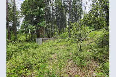 318 Rockabye Lane, Curlew, WA 99118 - Photo 10