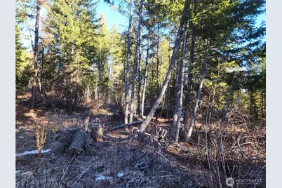 318 Rockabye Lane, Curlew, WA 99118 - Photo 18