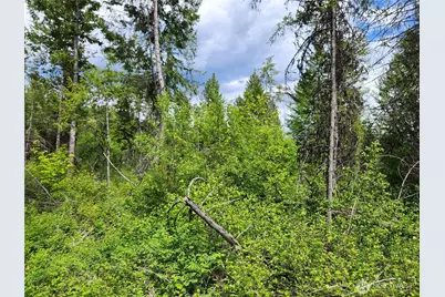 318 Rockabye Lane, Curlew, WA 99118 - Photo 14