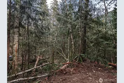 64062 Cascade River Rd, Marblemount, WA 98267 - Photo 4