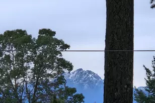 621 E Hyland Dr, Union, WA 98592 - Photo 26