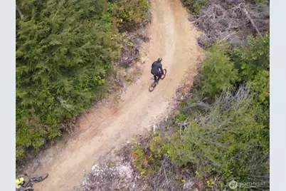 40 Bungalow Loop, Pacific Beach, WA 98571 - Photo 28