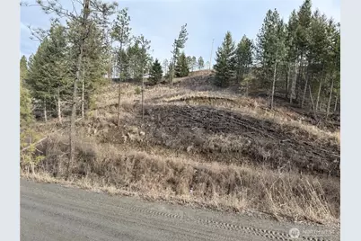 6 Lot Tbd Lundimo Meadows, Curlew, WA 99118 - Photo 18