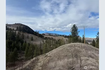 6 Lot Tbd Lundimo Meadows, Curlew, WA 99118 - Photo 14