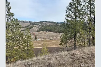 6 Lot Tbd Lundimo Meadows, Curlew, WA 99118 - Photo 10