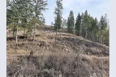 6 Lot Tbd Lundimo Meadows, Curlew, WA 99118 - Photo 4