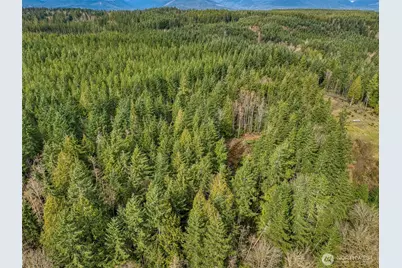 2 NW Larson Lane, Seabeck, WA 98380 - Photo 8