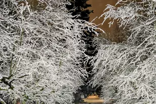 22532 88th Ave W, Edmonds, WA 98026 - Photo 38