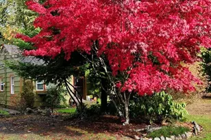 1912 Elliott Ave NW, Olympia, WA 98502 - Photo 34