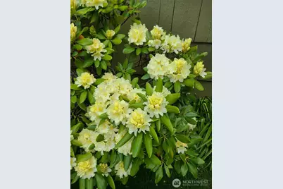 1912 Elliott Avenue NW, Olympia, WA 98502 - Photo 32