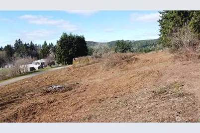 0 Lenora Lane, Kelso, WA 98626 - Photo 1