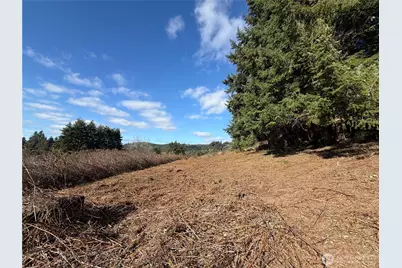 0 Lenora Lane, Kelso, WA 98626 - Photo 28