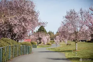 1301 S 3rd Ave, Sequim, WA 98382 - Photo 40