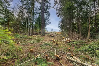 36 Dunbar Court, Port Ludlow, WA 98365 - Photo 10