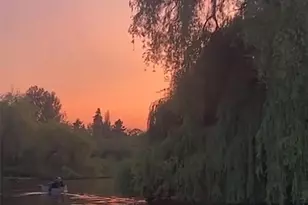 7031 NE 175th St, Kenmore, WA 98028 - Photo 34