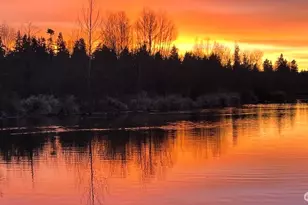 7031 NE 175th St, Kenmore, WA 98028 - Photo 38