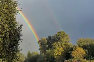 7031 NE 175th St, Kenmore, WA 98028 - Photo 30