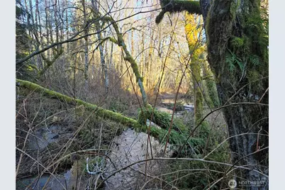 1531 W Ford Road, Matlock, WA 98560 - Photo 26