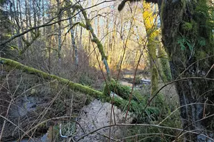 1531 W Ford Rd, Matlock, WA 98560 - Photo 26