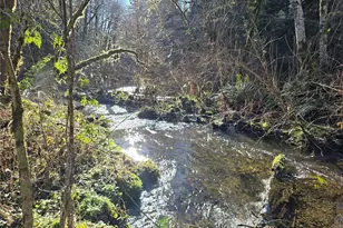 1531 W Ford Rd, Matlock, WA 98560 - Photo 2