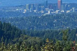 15404 SE 53rd Pl, Bellevue, WA 98006 - Photo 22