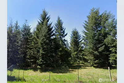 0 Loganberry Street SW, Rochester, WA 98579 - Photo 1