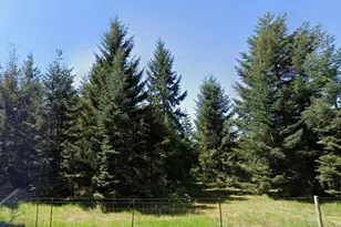 0 Loganberry Street SW, Rochester, WA 98579 - Photo 1