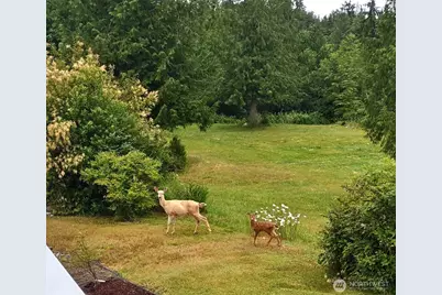 342 Echo Ridge Way, Camano Island, WA 98282 - Photo 40