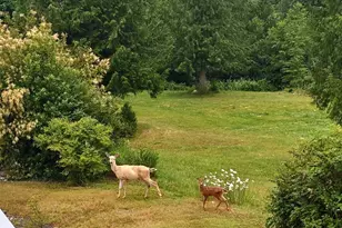 342 Echo Ridge Way, Camano Island, WA 98282 - Photo 40