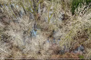 6202 188th Ave E, Bonney Lake, WA 98391 - Photo 1